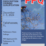 Prescription Pruning Qualification - Tallahassee